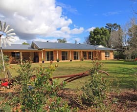 Rural / Farming commercial property sold at 162 Corndale Rd Bexhill NSW 2480