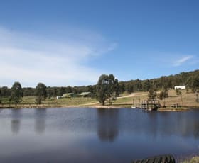 Rural / Farming commercial property sold at 320 Belgravia Rd Mullion Creek NSW 2800