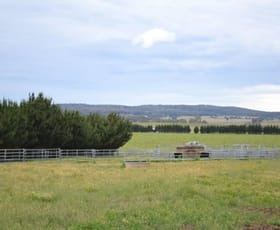 Rural / Farming commercial property sold at 2563 'Summer Dell Pastoral' Lumley Lake Bathurst NSW 2580