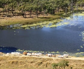 Rural / Farming commercial property sold at 45 Narrawa Road Einasleigh QLD 4871 Rural / Farming commercial property sold at 45 Narrawa Road Einasleigh QLD 4871