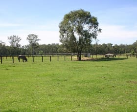 Rural / Farming commercial property sold at 200 Yarramalong Rd Wyong Creek NSW 2259