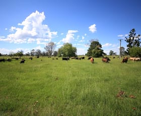 Rural / Farming commercial property sold at 572 Coldstream Road Ulmarra NSW 2462