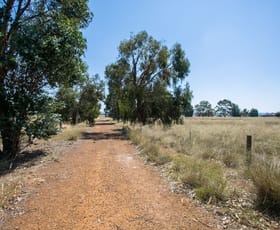 Rural / Farming commercial property sold at 3303 Great Northern Highway Bullsbrook WA 6084