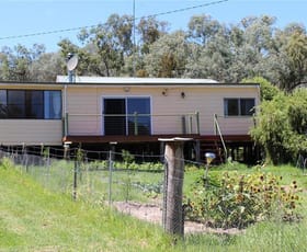 Rural / Farming commercial property sold at 1043 Wallangra Road Ashford NSW 2361