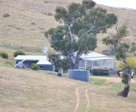 Rural / Farming commercial property sold at 424 Bulgundara Road Dalgety NSW 2628