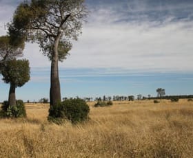 Rural / Farming commercial property sold at Miles QLD 4415 Rural / Farming commercial property sold at Miles QLD 4415