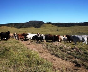Rural / Farming commercial property sold at - Leumeah Injune QLD 4454