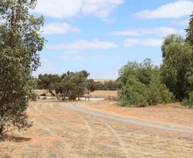 Rural / Farming commercial property sold at 2519 Angas Valley Road Mount Pleasant SA 5235