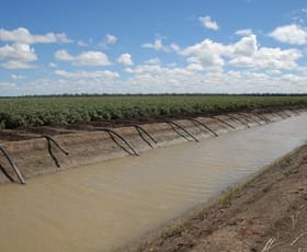 Rural / Farming commercial property sold at - TURKEY LAGOON Goondiwindi QLD 4390