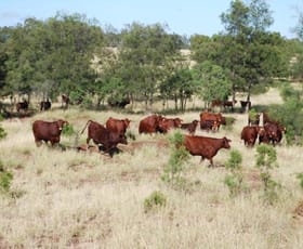 Rural / Farming commercial property sold at 19721 Carnarvon Highway Surat QLD 4417