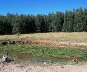 Rural / Farming commercial property sold at Ellangowan NSW 2470