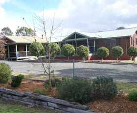 Rural / Farming commercial property sold at 26 Lodge Road Lovedale NSW 2325