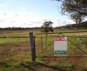 Rural / Farming commercial property sold at Werris Creek NSW 2341