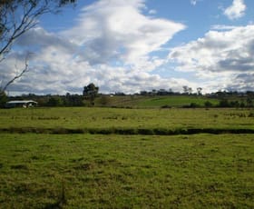 Rural / Farming commercial property sold at 55 MARY STREET The Oaks NSW 2570