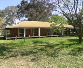 Rural / Farming commercial property sold at 115 Laws Drive Kialla VIC 3631