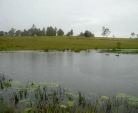 Rural / Farming commercial property sold at Killabakh NSW 2429