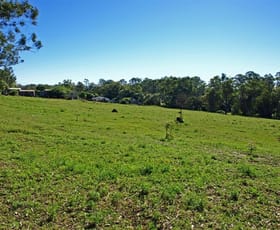 Rural / Farming commercial property sold at 10 Collies Lane Mardi NSW 2259
