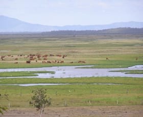 Rural / Farming commercial property sold at 10 Stanage Bay Road Stanage QLD 4702 Rural / Farming commercial property sold at 10 Stanage Bay Road Stanage QLD 4702