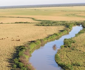 Rural / Farming commercial property sold at - Bowen Downs and Tyrone, Torrens Creek Road Aramac QLD 4726