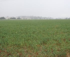 Rural / Farming commercial property sold at Allora QLD 4362