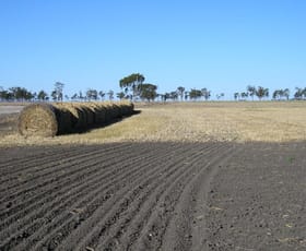 Rural / Farming commercial property sold at 0 BONVIEW Dalby QLD 4405 Rural / Farming commercial property sold at 0 BONVIEW Dalby QLD 4405