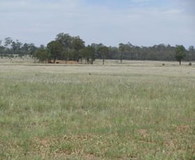 Rural / Farming commercial property sold at 3820 ACRES CATTLE GRAZING Dulacca QLD 4425