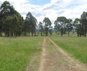 Rural / Farming commercial property sold at East Gresford NSW 2311