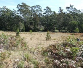 Rural / Farming commercial property sold at Coopernook NSW 2426