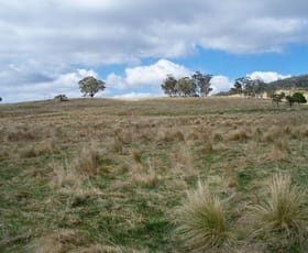 Rural / Farming commercial property sold at 147 Old Western Highway Mount Lambie NSW 2790