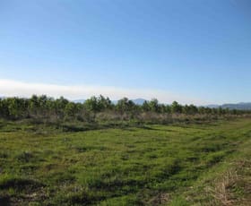 Rural / Farming commercial property sold at REGION Ingham QLD 4850