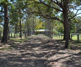 Rural / Farming commercial property sold at Wingham NSW 2429