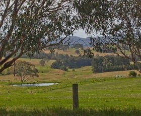 Rural / Farming commercial property sold at Coolagolite NSW 2550