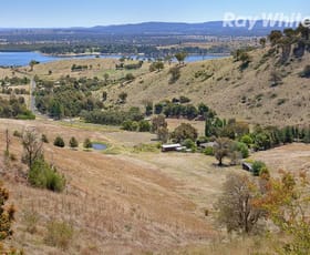 Rural / Farming commercial property sold at 205 Kurrajong Gap Road Bellbridge VIC 3691