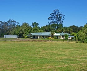 Rural / Farming commercial property sold at 1575 Mandalong Road Dooralong NSW 2259