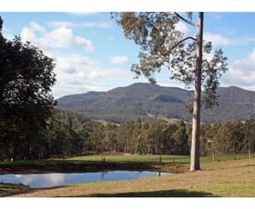 Rural / Farming commercial property sold at 191 Eglinford Lane Congewai NSW 2325