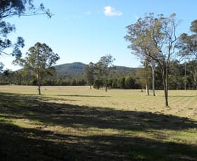 Rural / Farming commercial property sold at 1507 Mandalong Road Dooralong NSW 2259