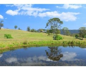 Rural / Farming commercial property sold at 59 Mitchells Road Mount View NSW 2325