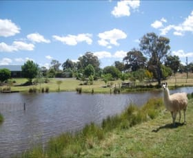 Rural / Farming commercial property sold at 3514 Olympic Highway Junee NSW 2663