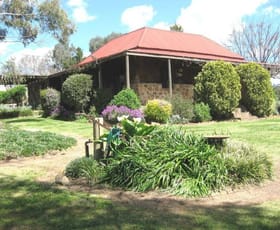 Rural / Farming commercial property sold at BOORINYA CHINAMANS ROAD Cootamundra NSW 2590