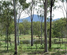 Rural / Farming commercial property sold at 343 Dude Ranch Road Iveragh QLD 4680