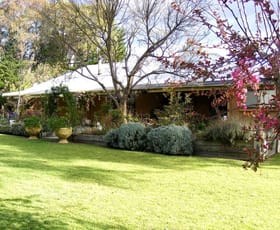 Rural / Farming commercial property sold at 525 Candelo Wolumla Rd Wolumla NSW 2550