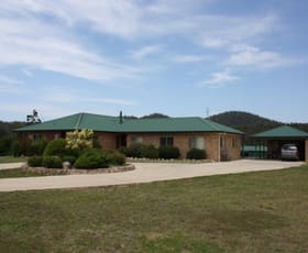 Rural / Farming commercial property sold at 972 Back Creek Road Lochiel NSW 2549