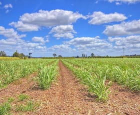 Rural / Farming commercial property sold at 2207/2273 Wyrallah Rd Tuckurimba NSW 2480