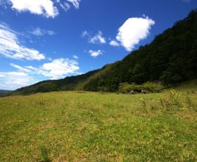 Rural / Farming commercial property sold at Lot 7 Lindsay Rd Larnook NSW 2480