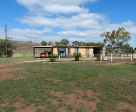 Rural / Farming commercial property sold at 204 Ridley Road Mannum SA 5238