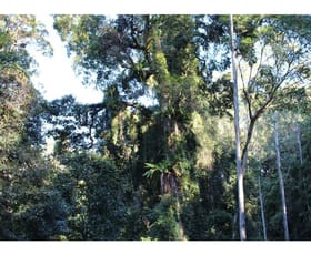 Rural / Farming commercial property sold at Lot 81&82 Baxters Ridge Road Gloucester NSW 2422