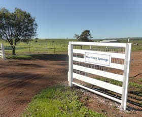 Rural / Farming commercial property sold at 93 Carter Road Throssell WA 6401