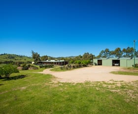 Rural / Farming commercial property sold at 88 Desert Creek Road Bega NSW 2550