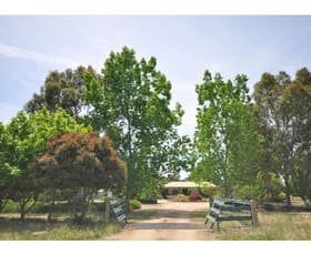 Rural / Farming commercial property sold at 341 Dights Forest Road Jindera NSW 2642