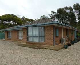 Rural / Farming commercial property sold at 65 Sollys Hill Road Watervale SA 5452